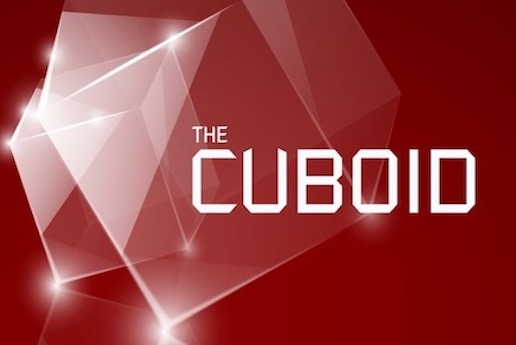 <p>The Cuboid</p>